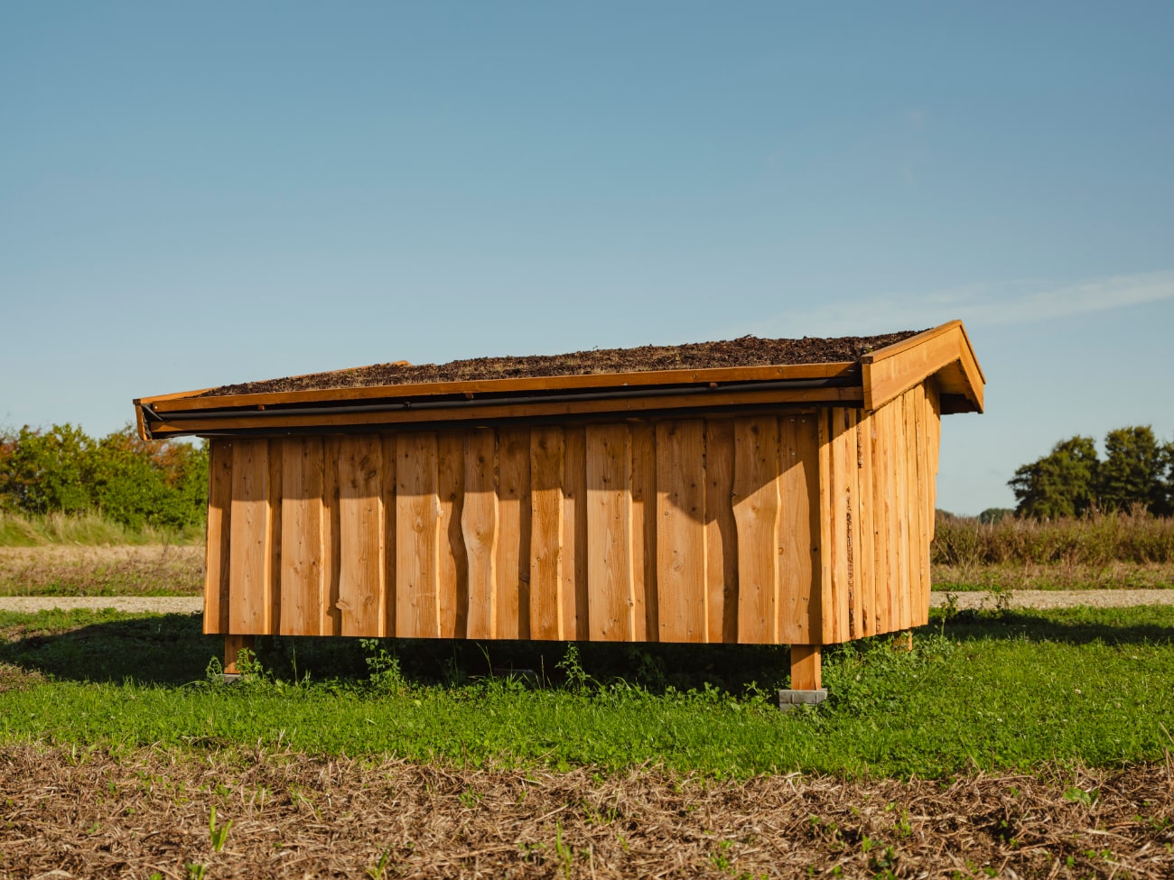 Shelter type 16