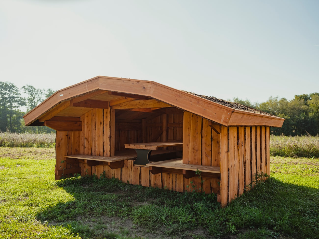 Shelter type 16