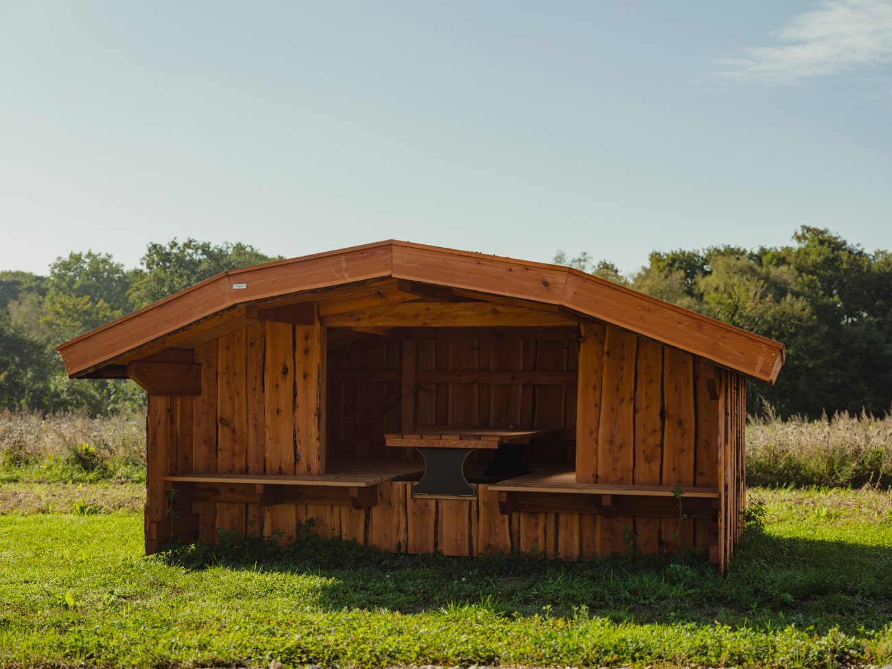 Shelter type 16
