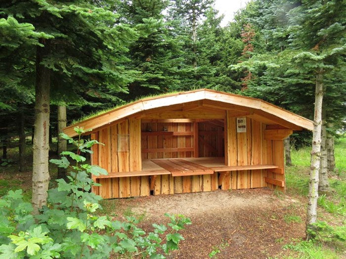 Shelter type 16 med græs på taget og indbygget bord